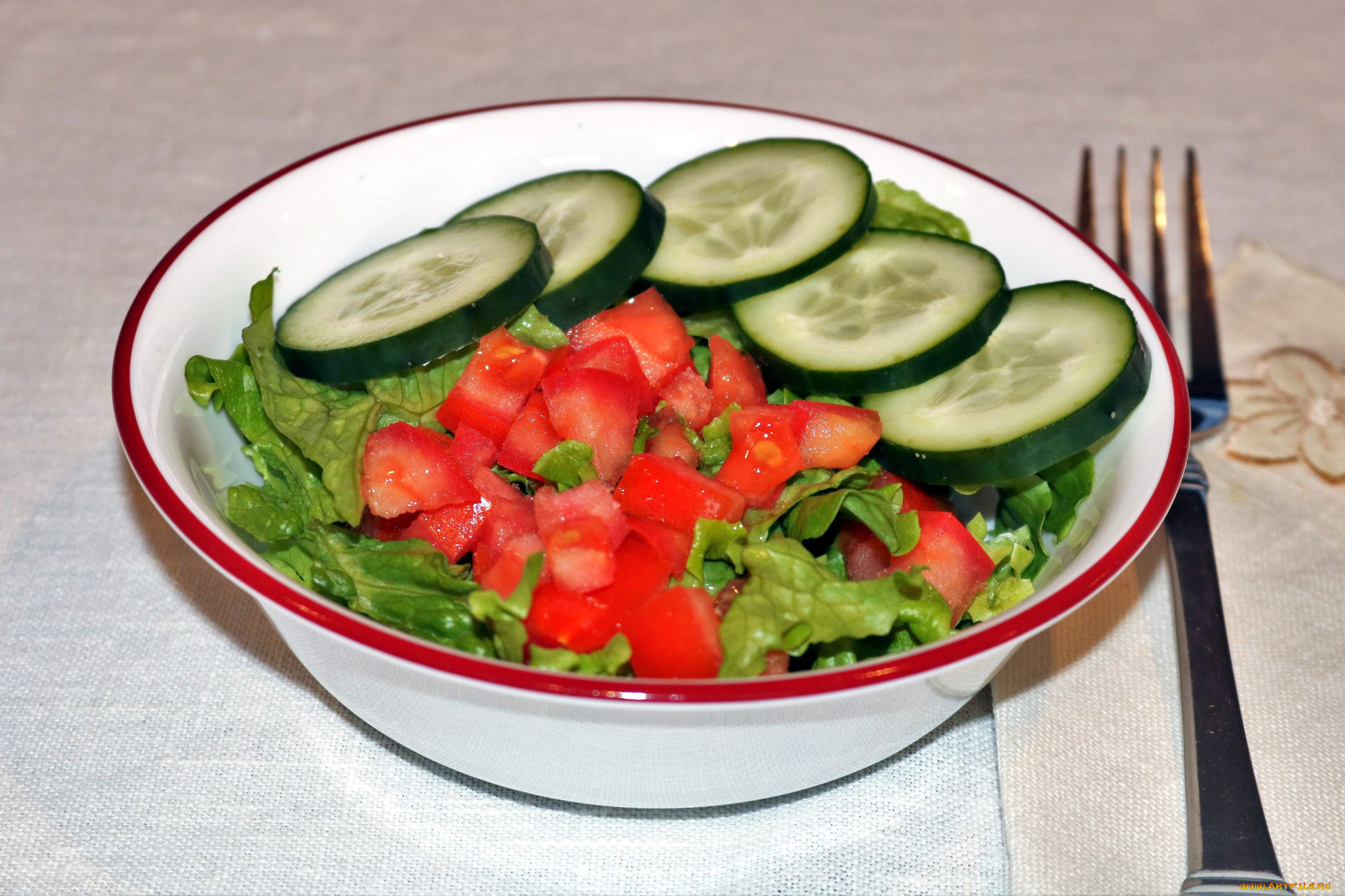 Можно при панкреатите есть помидоры. Овощной салат. Огуречный салат. Салат из огурцов. Салат из свежих огурцов и помидоров.